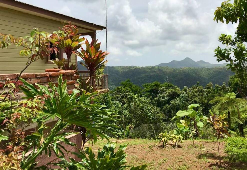 Cabin Mountain View Near Ponce Slepts 8 Luaran gambar